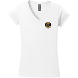 Dupage Black Bears Softstyle Ladies Fit V-Neck T-Shirt