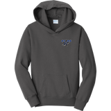 Grand Valley Stars Youth Fan Favorite Fleece Pullover Hooded Sweatshirt
